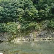ラムチョップの画像