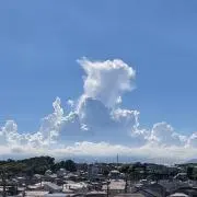 J-boc