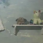ぽち山の画像