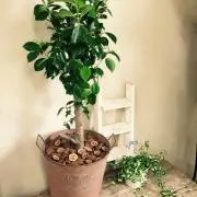 全品値引き中〜の画像