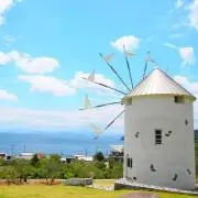 SORAの画像