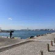 カッキーの画像