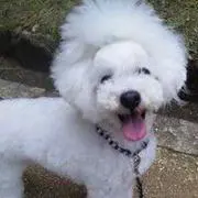 tarou!の画像