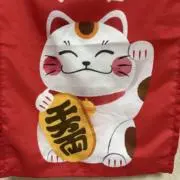 ようこの画像