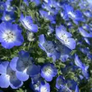 うなたま◎プロフ必読の画像