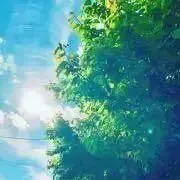 まるの画像