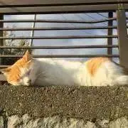 ざわ