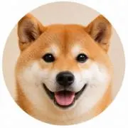 マルシバ