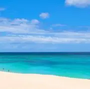 tinkの画像