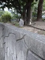 つくしの画像