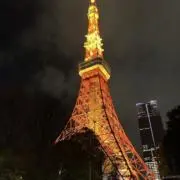 ✴︎sarasa✴︎の画像