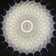 kakkoの画像