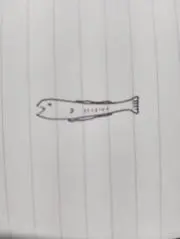 じゃこ天さんの画像