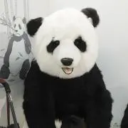 たいらの☆グッズの整理中の画像