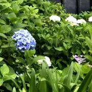 トリックオアトリート