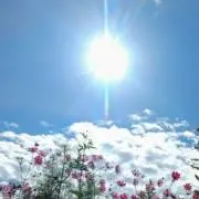 はなはな☆☆発送予定→月・金曜日♪の画像