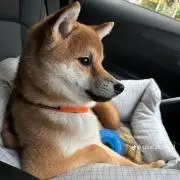 あい