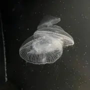 坂の画像