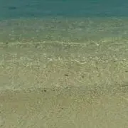 りぃぬ♪只今おまけつきφ(．．)の画像