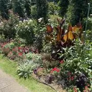 マチ