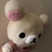 Hprの画像