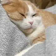 ウル(プロフ見てネ)(値下げ等コメント)の画像