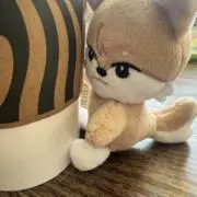 ☆913☆の画像