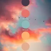 セシル❁⃘*.゜