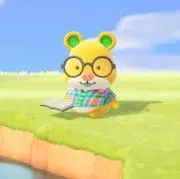 きな子（無言取引希望の画像