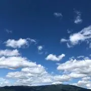 かぜの画像