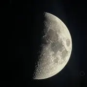 maruの画像