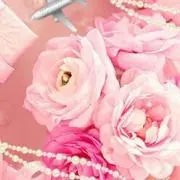 ☆☆☆りゅうりゅう24☆☆☆の画像