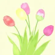 和と花の画像