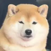 くるす。の画像