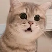 なる