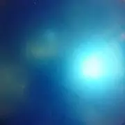 はなまる