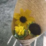 星野の画像