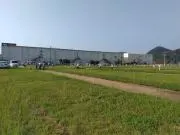ぎゅの画像