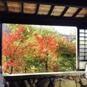 紅葉