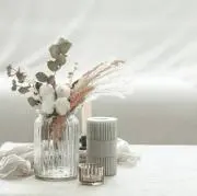 木々の画像