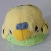 にのの画像