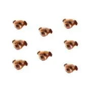 eraの画像