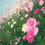 へい