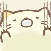 sorraの画像
