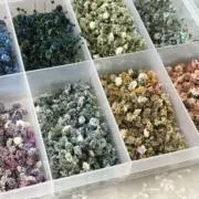 *⑅の画像