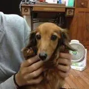 メリー♡の画像