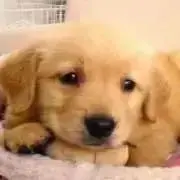 きのぴ＋*  プロフ読んで下さい