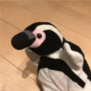 ダイ☆の画像