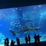 ⚠️プロフ一読お願いしますの画像