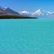 pokoの画像